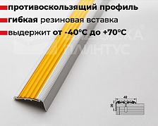 Порог угловой ПУ 71.2700.01лж. Серебро